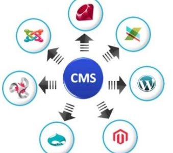 CMS.Development