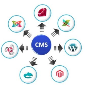 CMS.Development