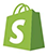 SWS Shopify Development