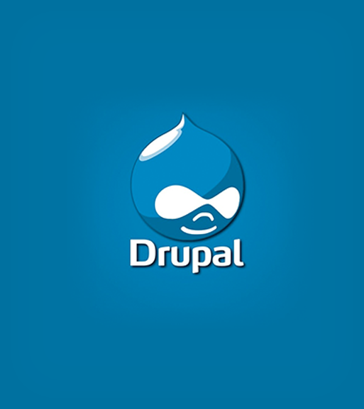 SWS Drupal Development Company
