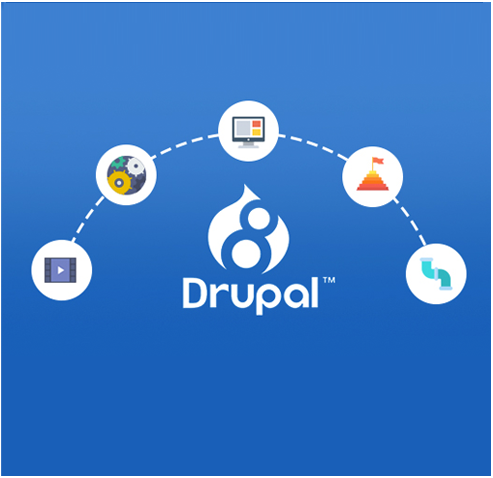 Hire Drupal Developer